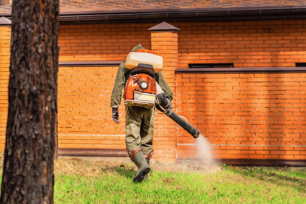 Bed Bug Clearance Verification and Documentation in Shelton